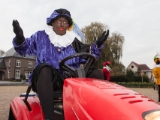 IMG 6591 Intocht Sint 2014 DezeFoto : 2014, Deurningen, intocht, piet, plechelmus harmonie, sint, sinterklaas